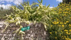 Conservatorio botanico I giardini di Pomona